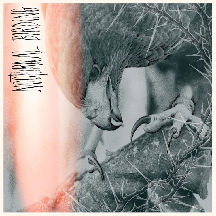 The Weekly Injection: New Releases From AUTHOR & PUNISHER, ORBIT CULTURE & More Out This Week 10/3