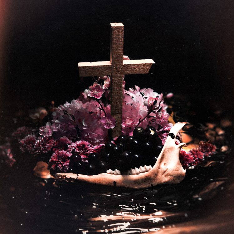 The Weekly Injection: New Releases From AUTHOR & PUNISHER, ORBIT CULTURE & More Out This Week 10/3